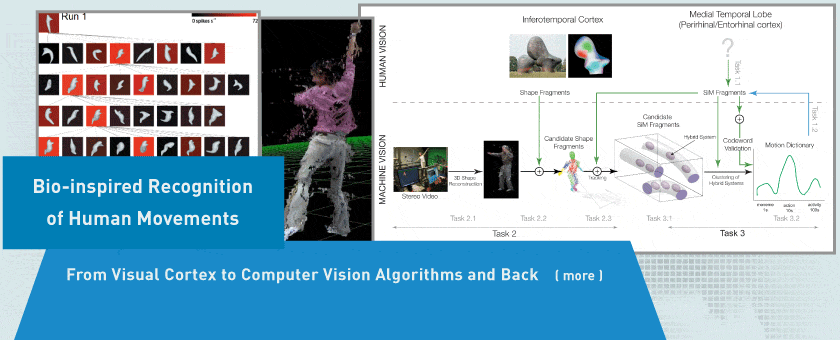 Bio-inspired Recognition of Human Movements