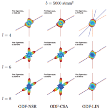 d-mri analysis illustration